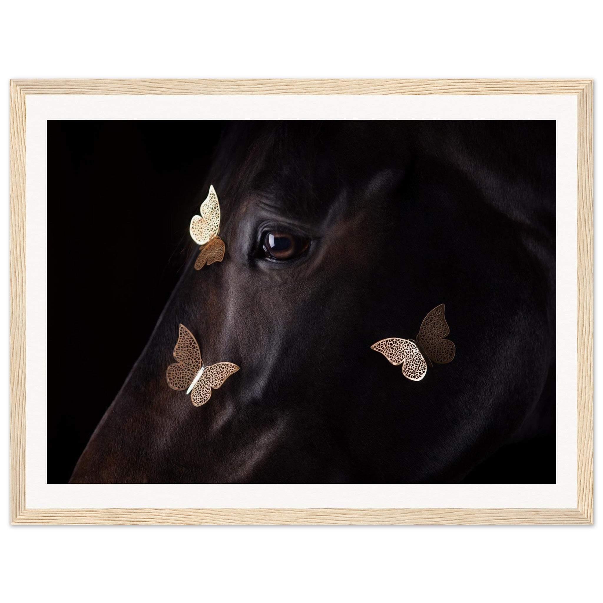 19ea28b2-09ca-4d0b-9122-a4c2089e8e04