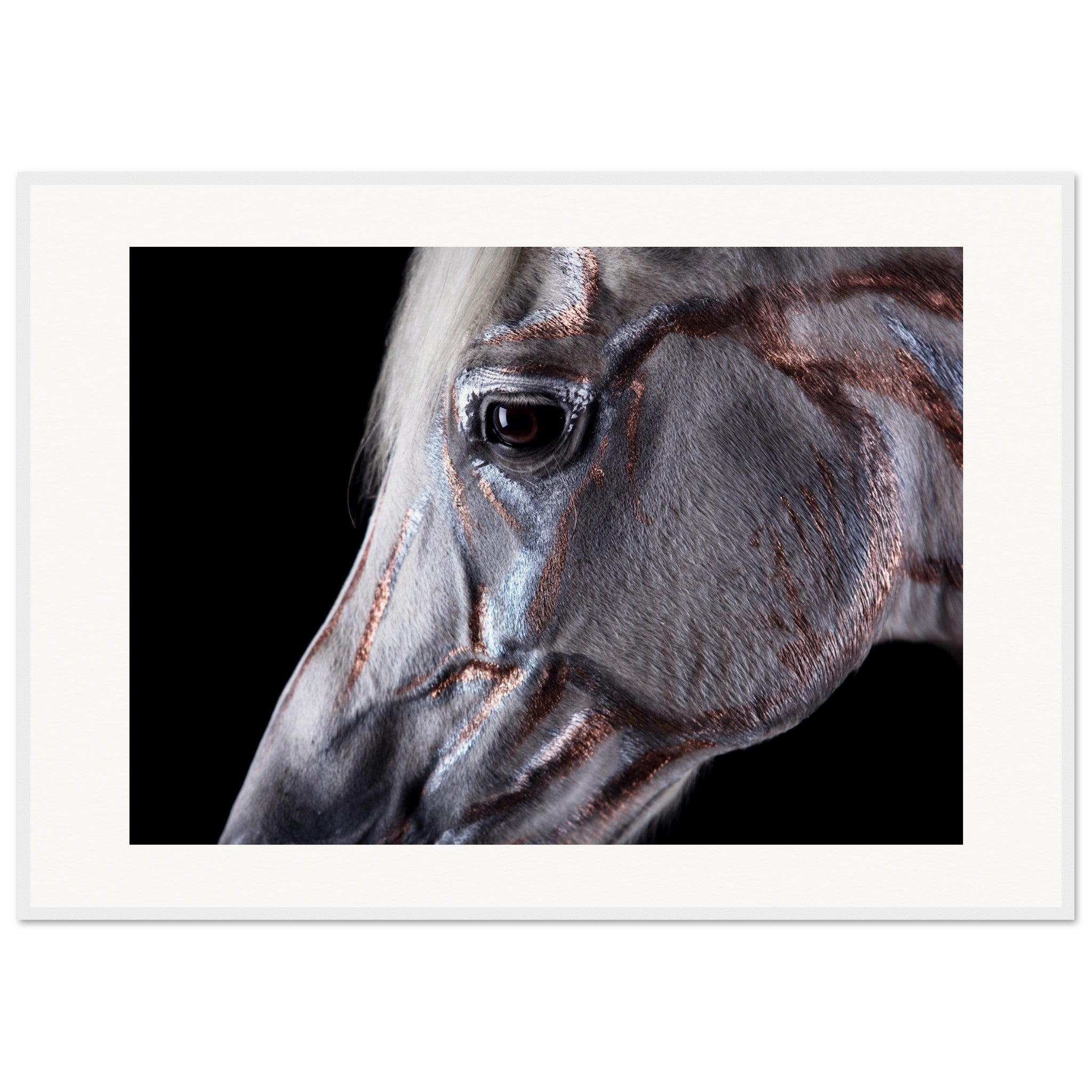 1a15a06e-63e0-4ad1-9b30-e19194e2d17c