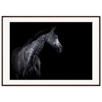 1a88cf06-dbc6-44dc-9340-19a60ed49b2b