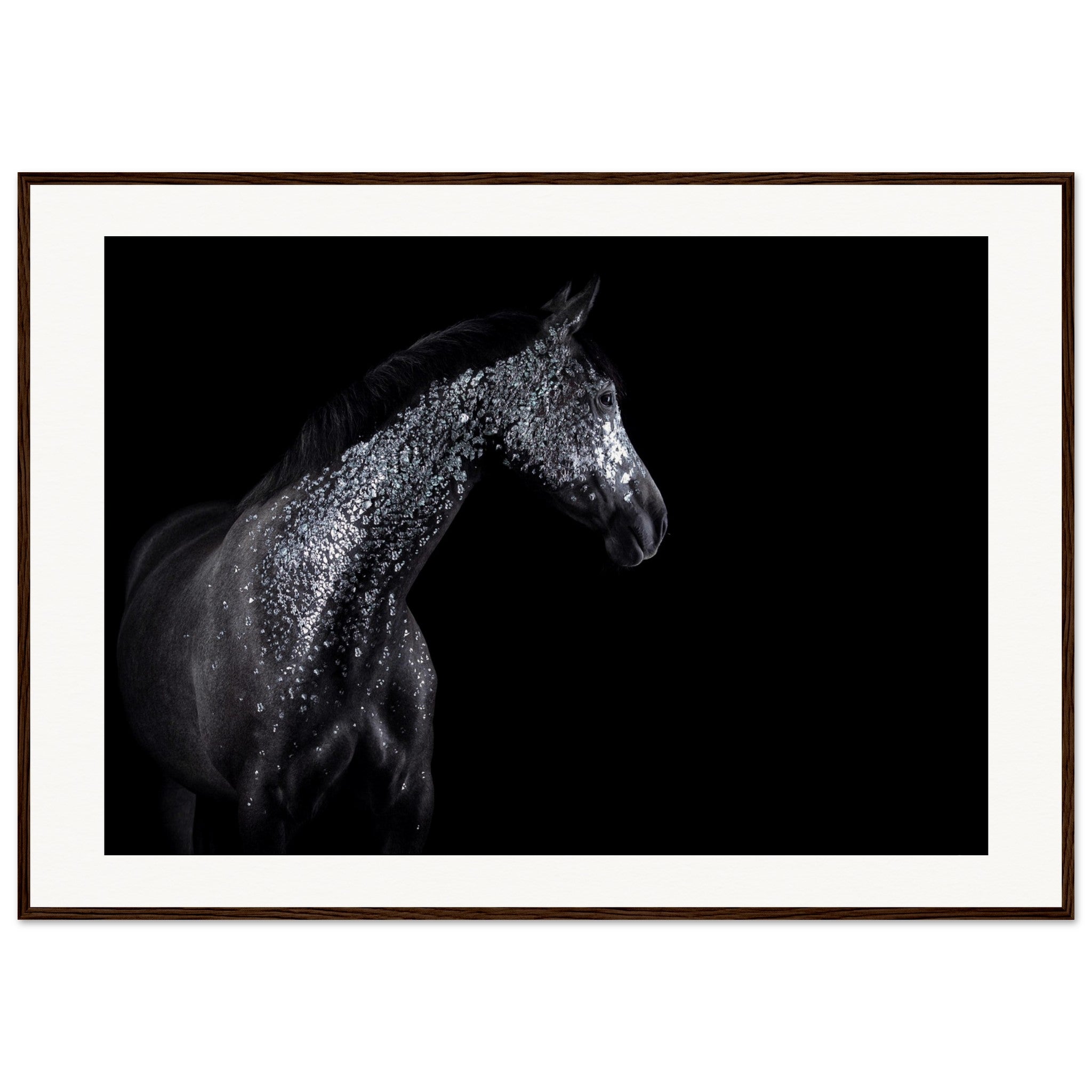 1a88cf06-dbc6-44dc-9340-19a60ed49b2b