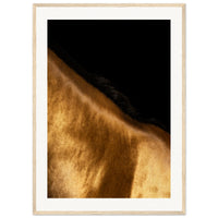 1aa786f0-dfe1-47c4-b45b-d99c577ed491