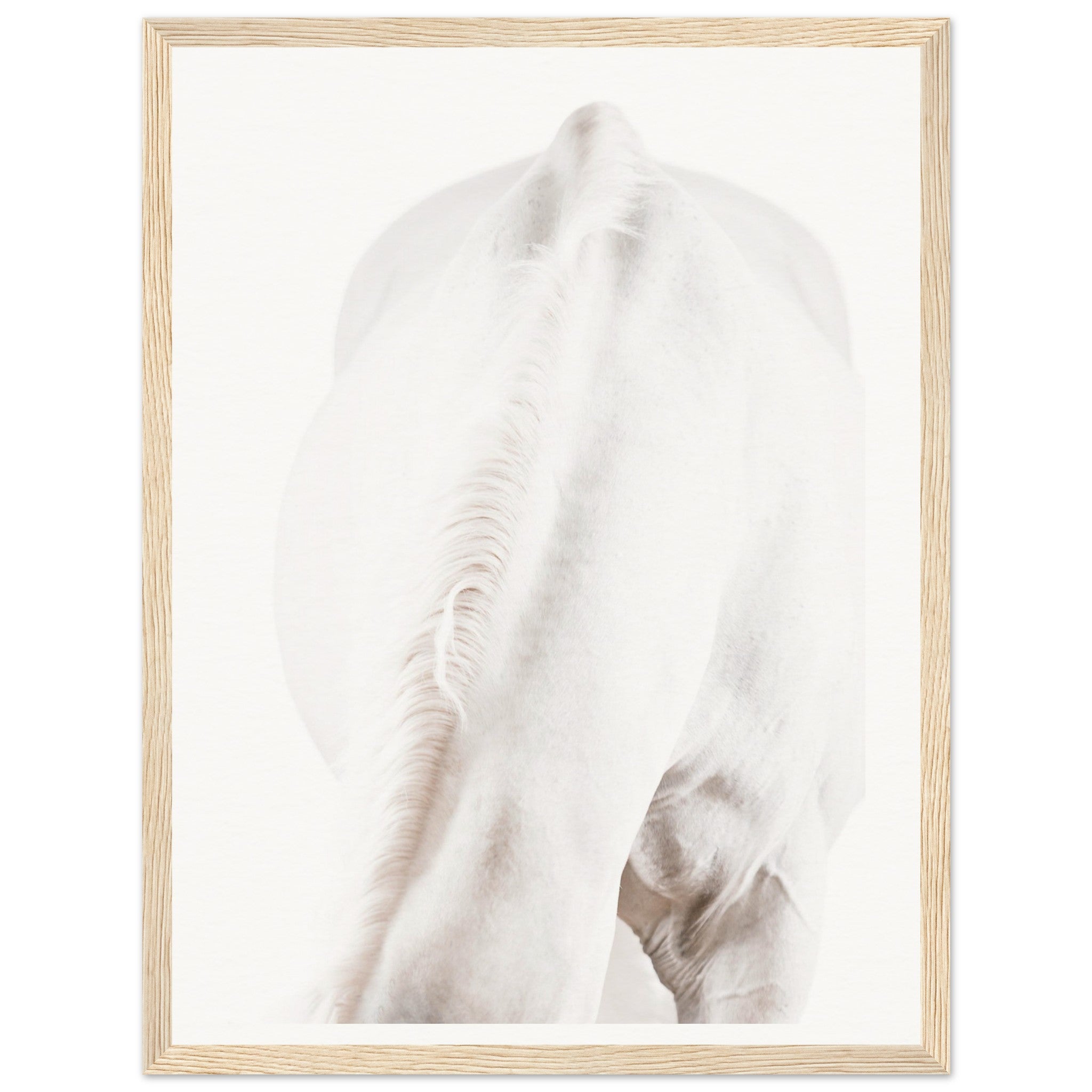 1ab4144d-7475-441c-89d3-35a4a8e255e0