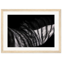 1ac371a2-2053-4bbd-9a54-0aa2ef53da76