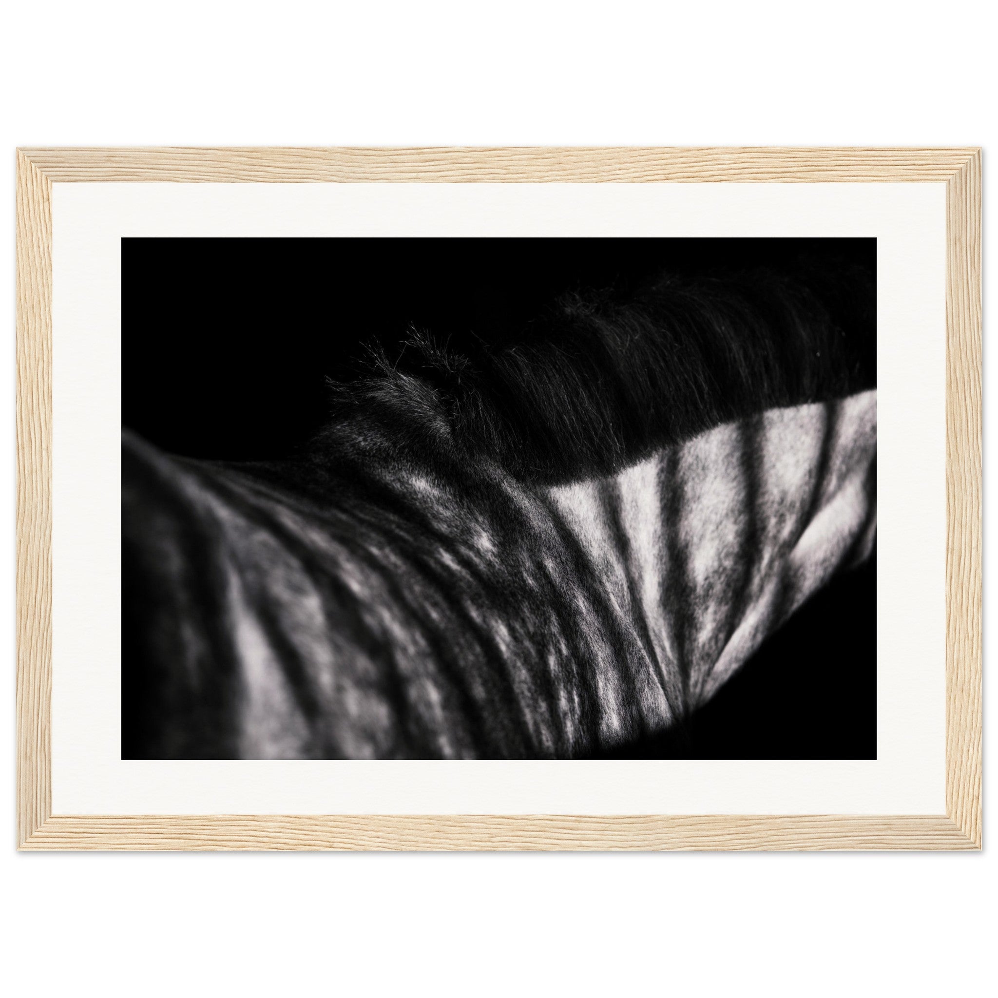 1ac371a2-2053-4bbd-9a54-0aa2ef53da76