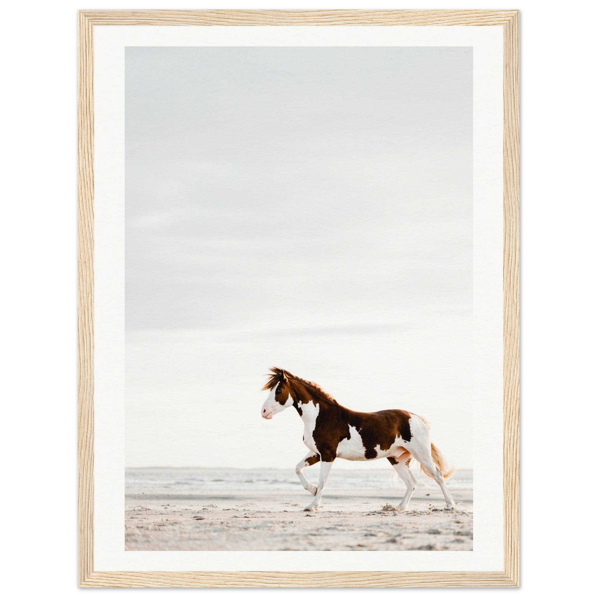 1af78107-03eb-4d9a-a38a-1cb2a33d4b4f