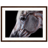 1af9e683-5131-426b-b1cf-99a05b56c602