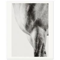 1b0dcd13-59de-4a65-b7c3-50496742e90f