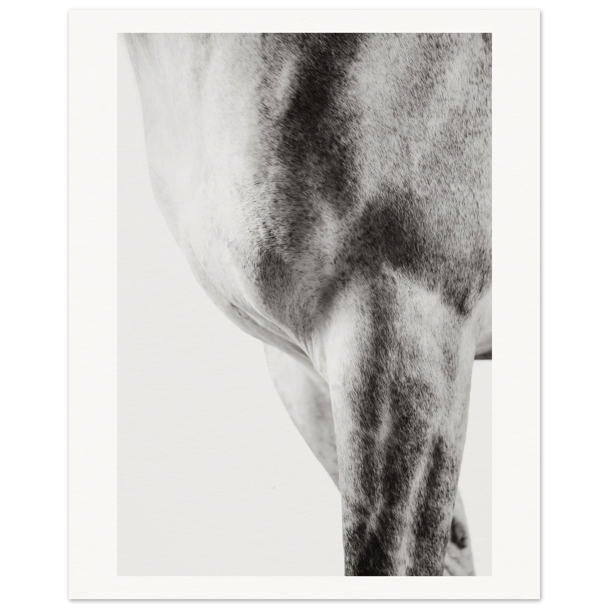 1b0dcd13-59de-4a65-b7c3-50496742e90f