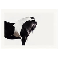 1b0effe7-b8ca-4d65-bd32-89a757ee2118