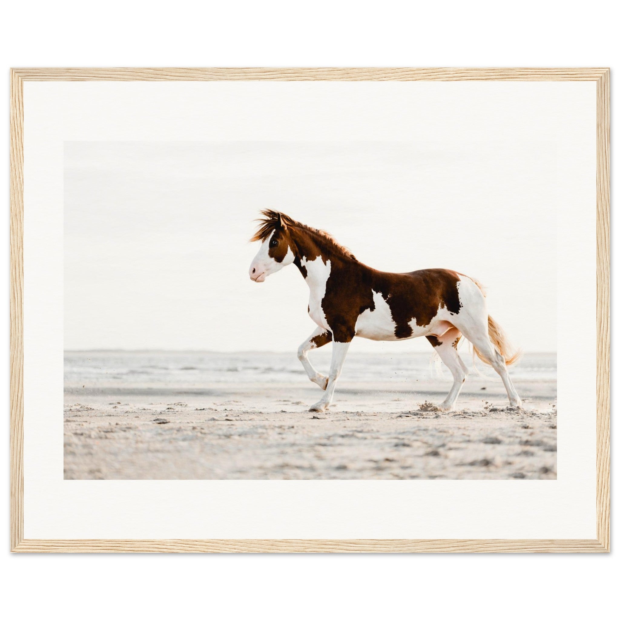 1b2a7a28-fe83-426e-a48e-14f4364a2392