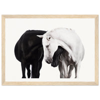 1b9af141-55c7-4d88-83e9-d77a67a463ac