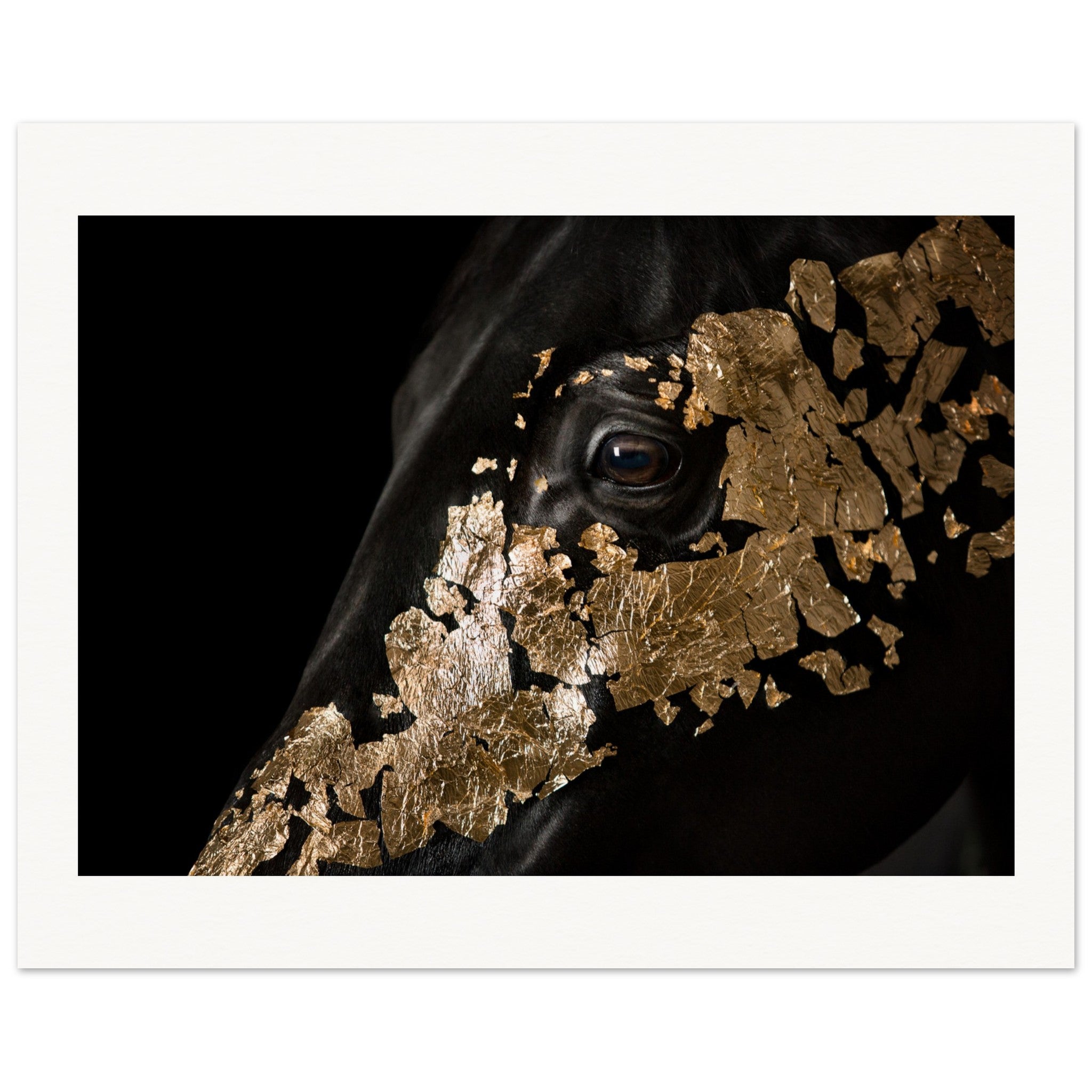 1c22b263-c348-43f9-bae2-4ed7a65e1ef9