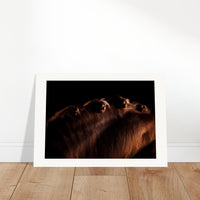 1c37d6fb-936a-4233-9d05-720a91d516a0