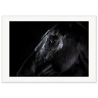 1c64c9cf-1867-4c5f-88fb-e557d3f7c3ff