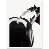 1c676518-56b3-43c1-852f-98b4a3925a51