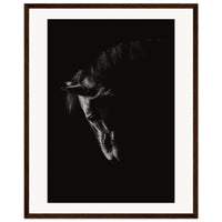 1ca116ad-98b8-434b-a7e8-e8787b99b23d