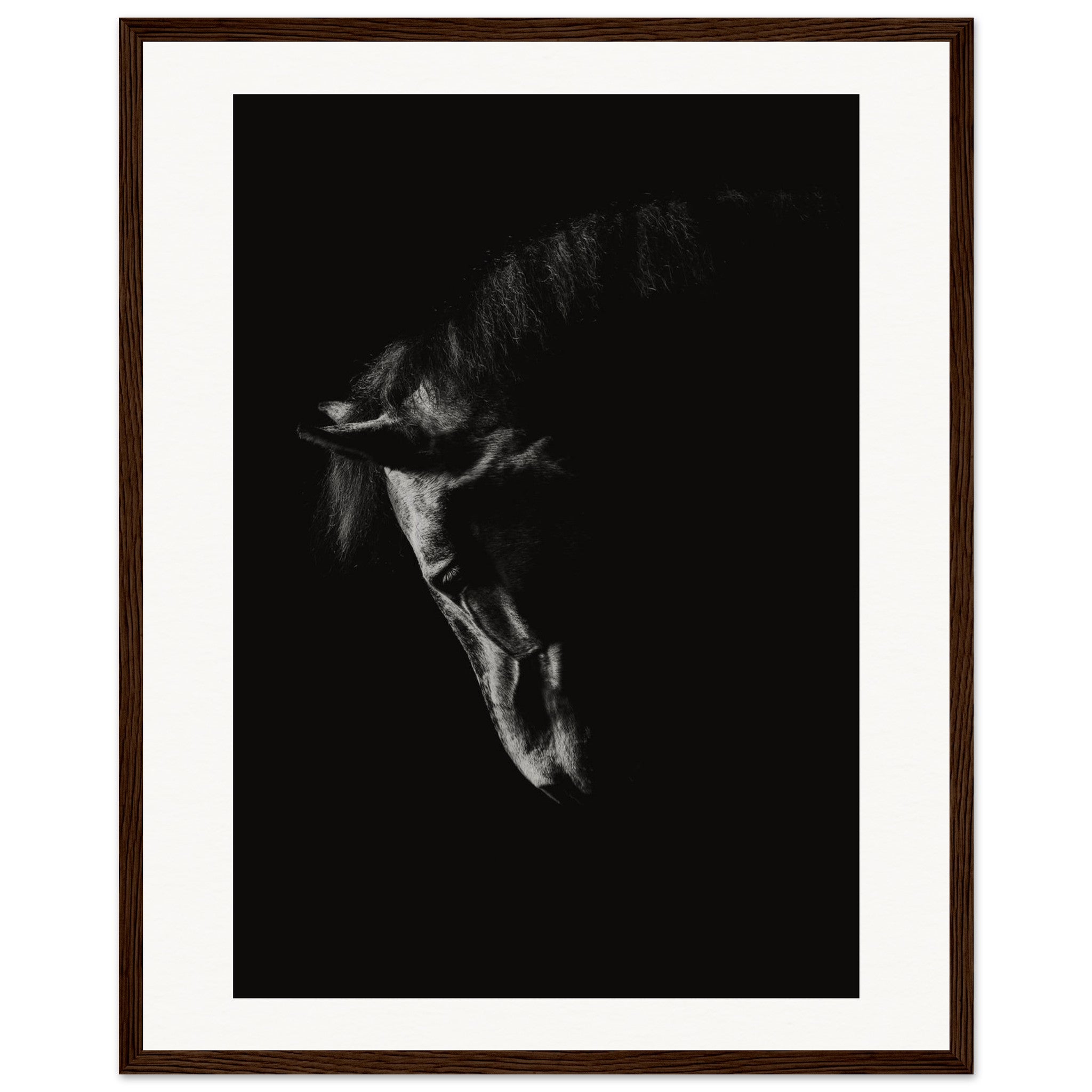 1ca116ad-98b8-434b-a7e8-e8787b99b23d