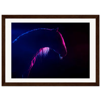 1cc7df02-099d-4e5d-9ba8-7b9d0ae359ca