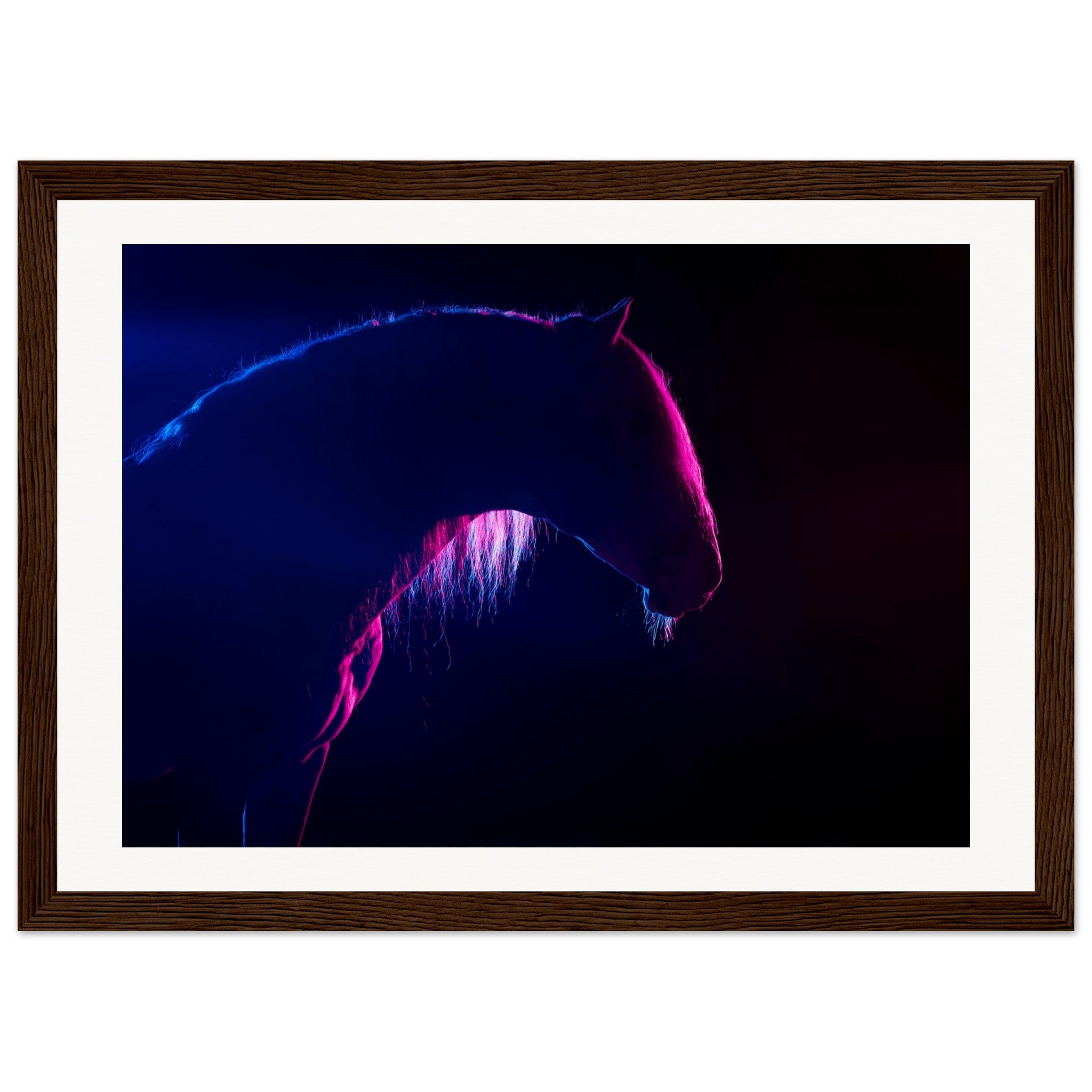 1cc7df02-099d-4e5d-9ba8-7b9d0ae359ca