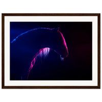 1cc80d72-797e-4595-9345-49dc0f77a164