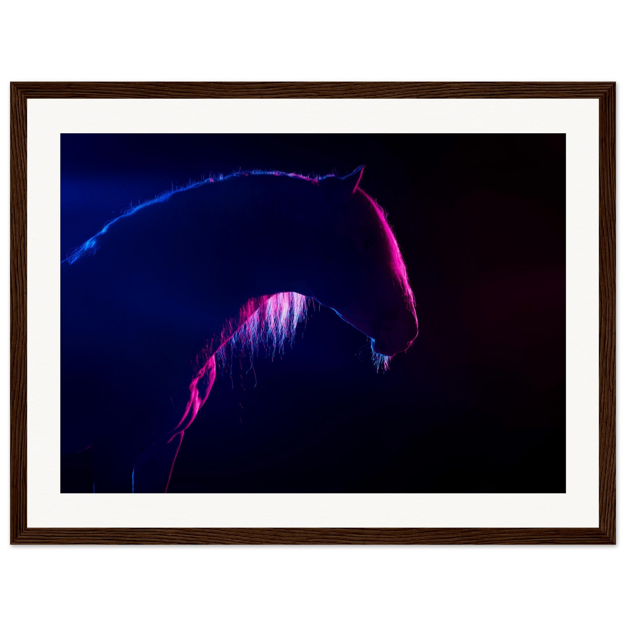 1cc80d72-797e-4595-9345-49dc0f77a164