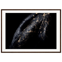 1d5ac936-e9eb-49a0-a3a6-b073d93b12e0