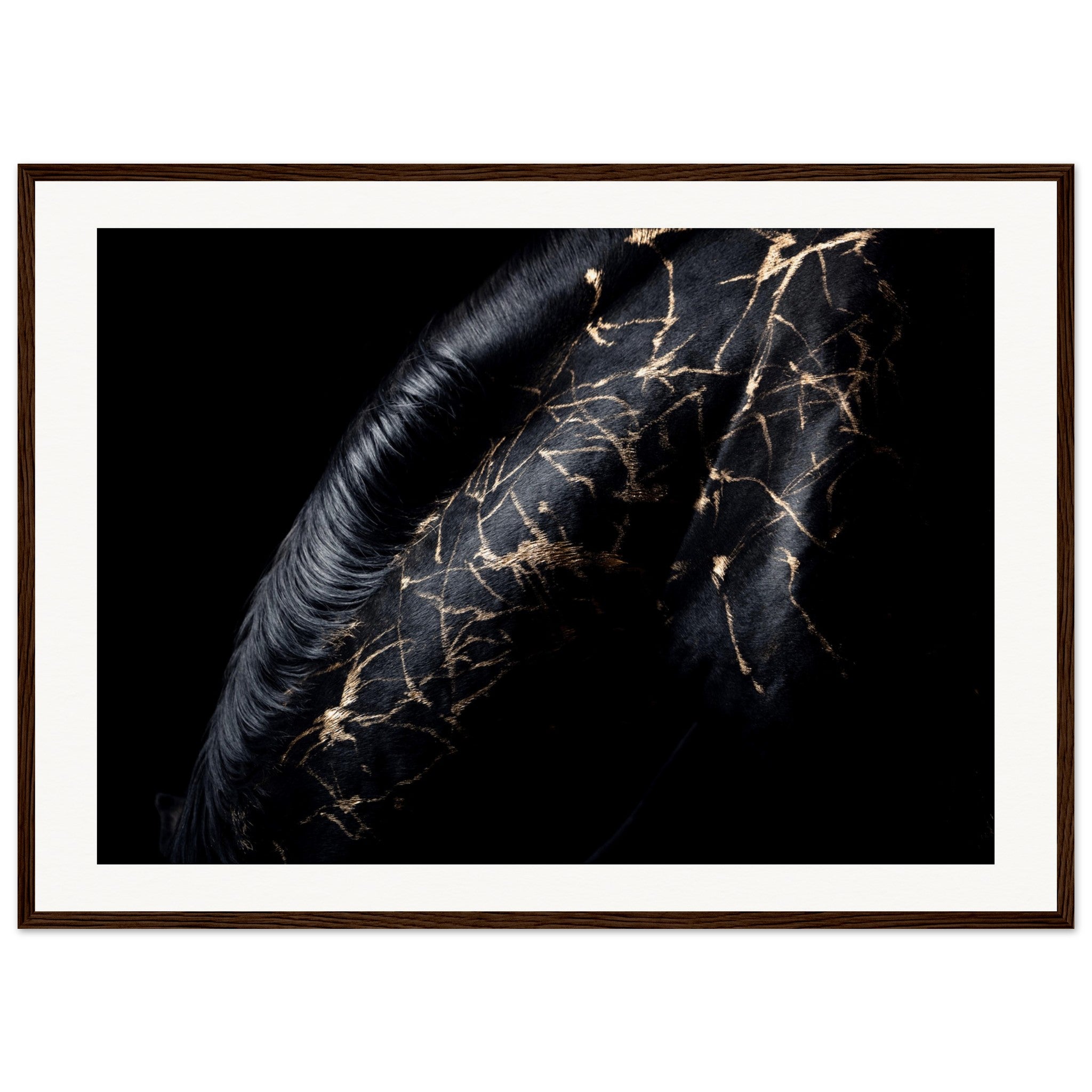 1d5ac936-e9eb-49a0-a3a6-b073d93b12e0