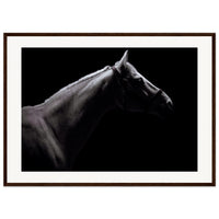 1d5d95b7-2fa2-4af2-95ec-30b8edf74efc