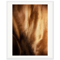 1d64e13e-2803-42e2-a50c-c84cc416046d