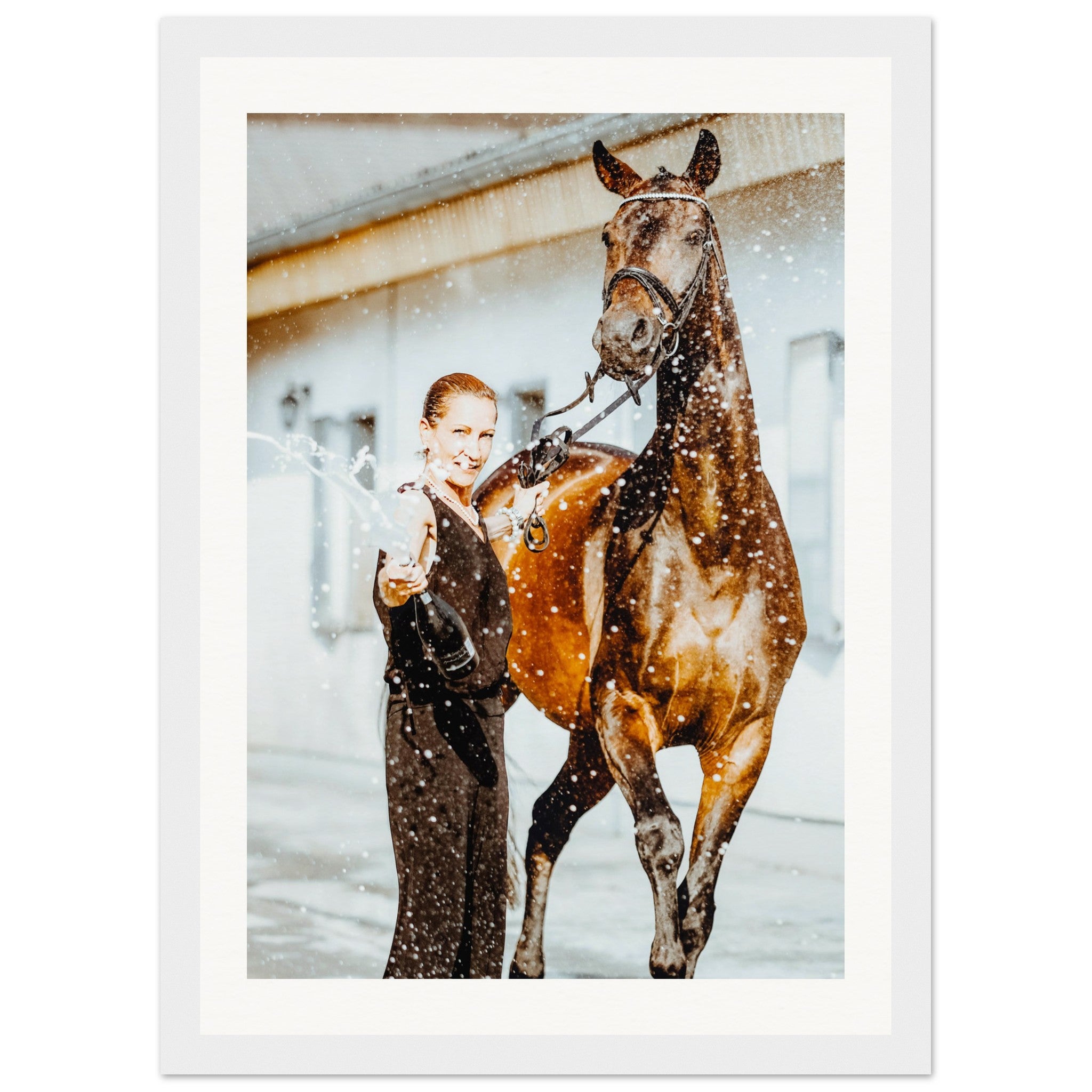 1dae82e5-5f98-406d-8334-c6c02225918d