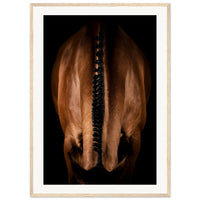 1de2fd74-62e0-466f-8128-ccc3f58758f9