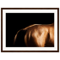 1de7bed3-2bbf-4b1f-9aa4-8f0fe857f85c