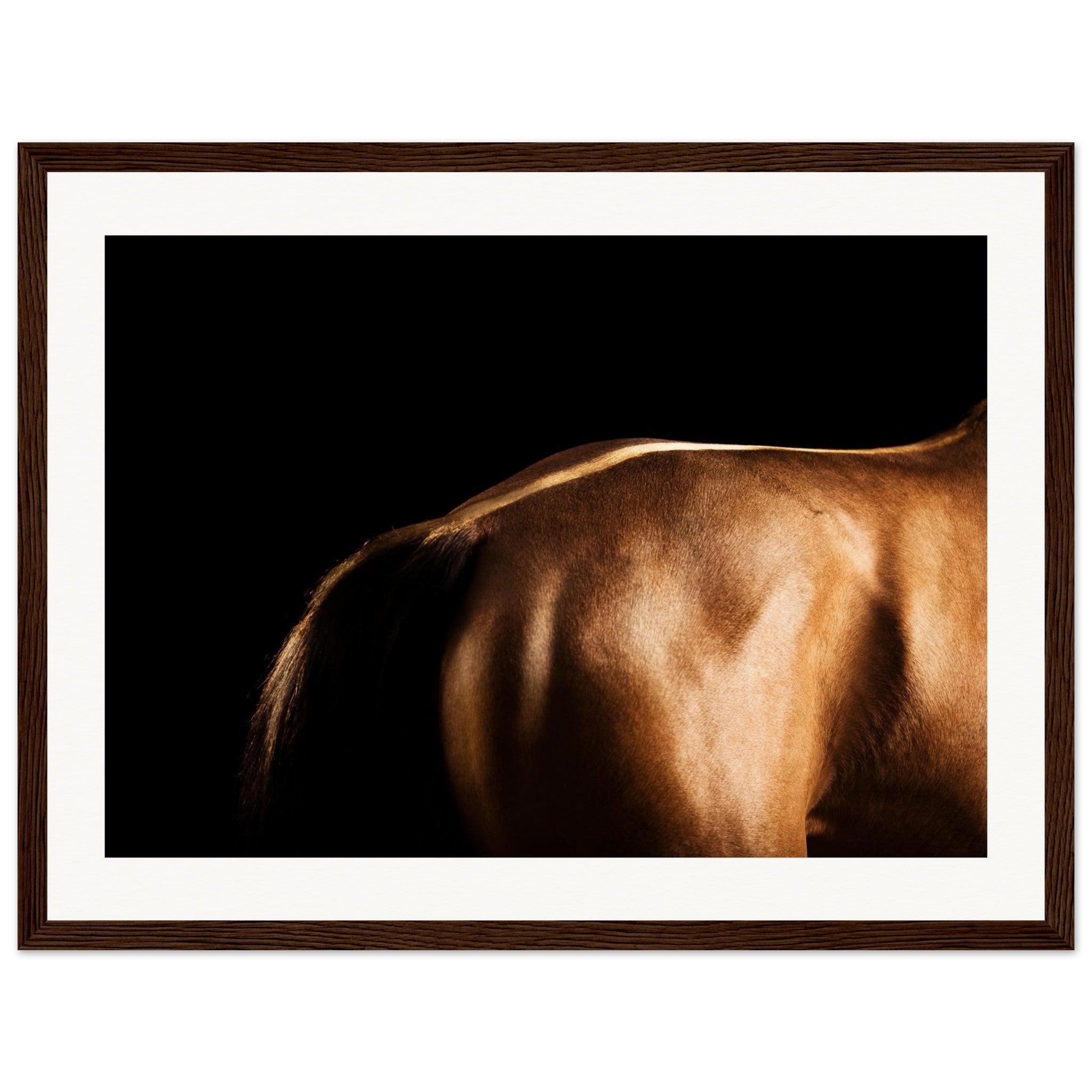 1de7bed3-2bbf-4b1f-9aa4-8f0fe857f85c