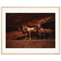 1e103f08-f6f0-42b2-84fa-82203a670c2c