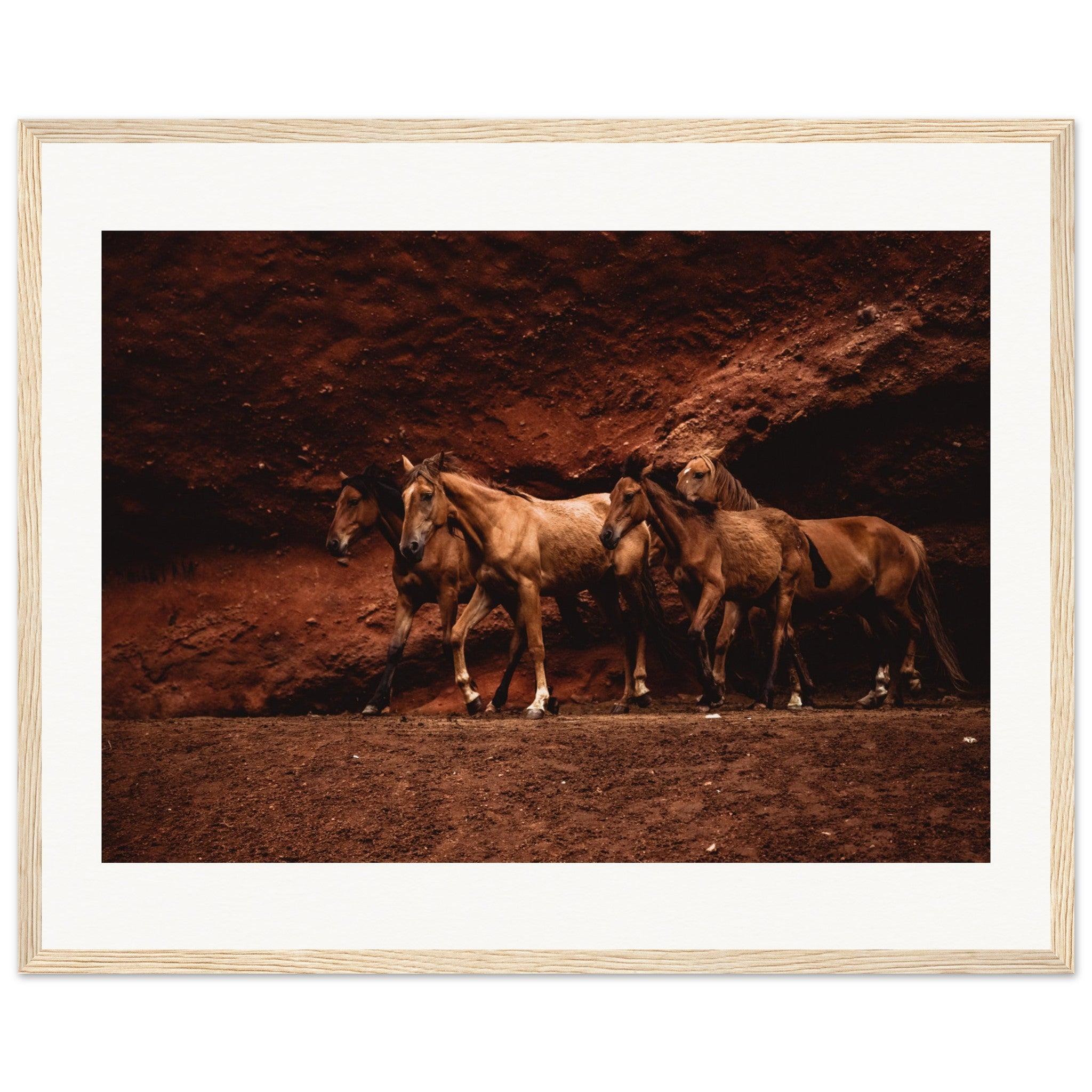 1e103f08-f6f0-42b2-84fa-82203a670c2c