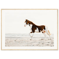 1e1b9fe9-6138-474a-8f76-ea62cad5cc7d