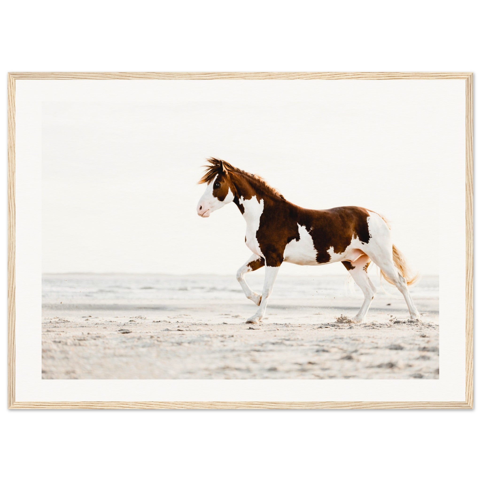 1e1b9fe9-6138-474a-8f76-ea62cad5cc7d