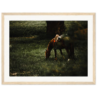 1e2091c2-2cd9-47f6-b3b3-bfea61b88bde