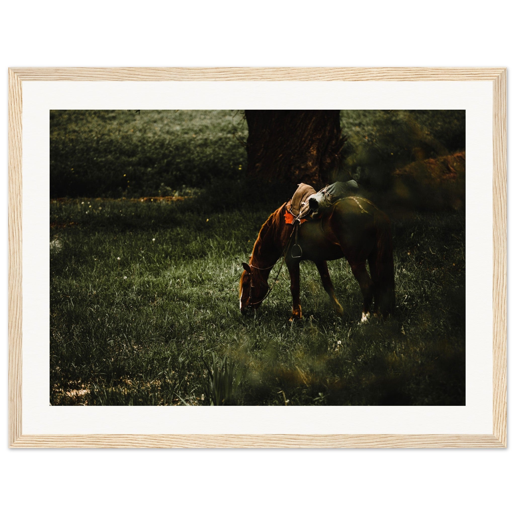 1e2091c2-2cd9-47f6-b3b3-bfea61b88bde