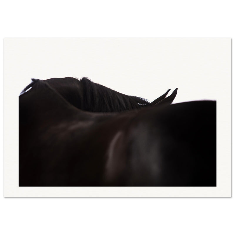 1e2a1ff8-26f8-45ba-987b-3178d96ba384