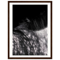 1e2ea222-0263-4bfb-8da2-7590622ddfa2