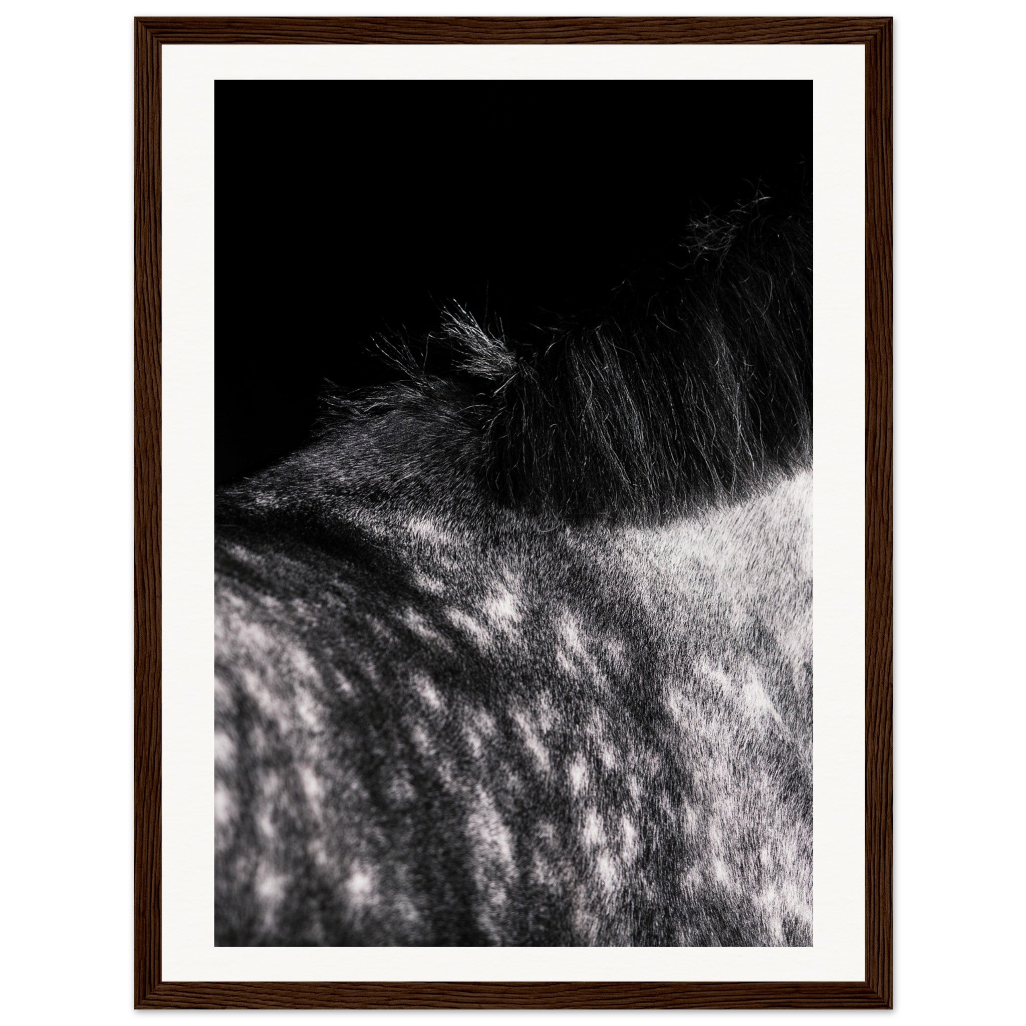 1e2ea222-0263-4bfb-8da2-7590622ddfa2