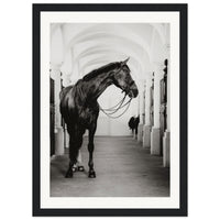 1e2f6083-ae67-4cd4-9a9f-6958e7ea8ae9