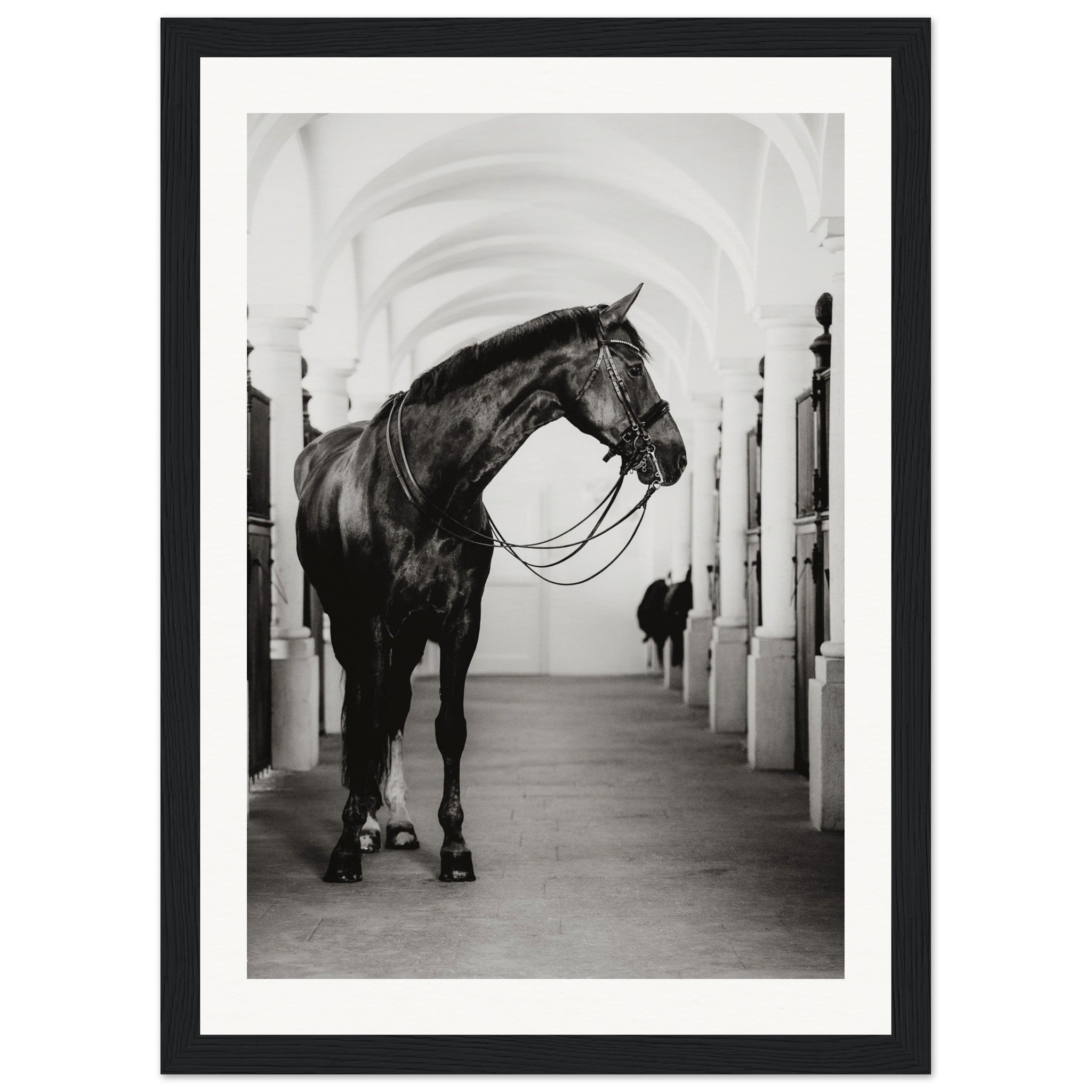 1e2f6083-ae67-4cd4-9a9f-6958e7ea8ae9