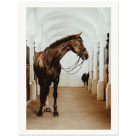 1e54c3f5-9a54-4280-8d66-6d0fd28ece98