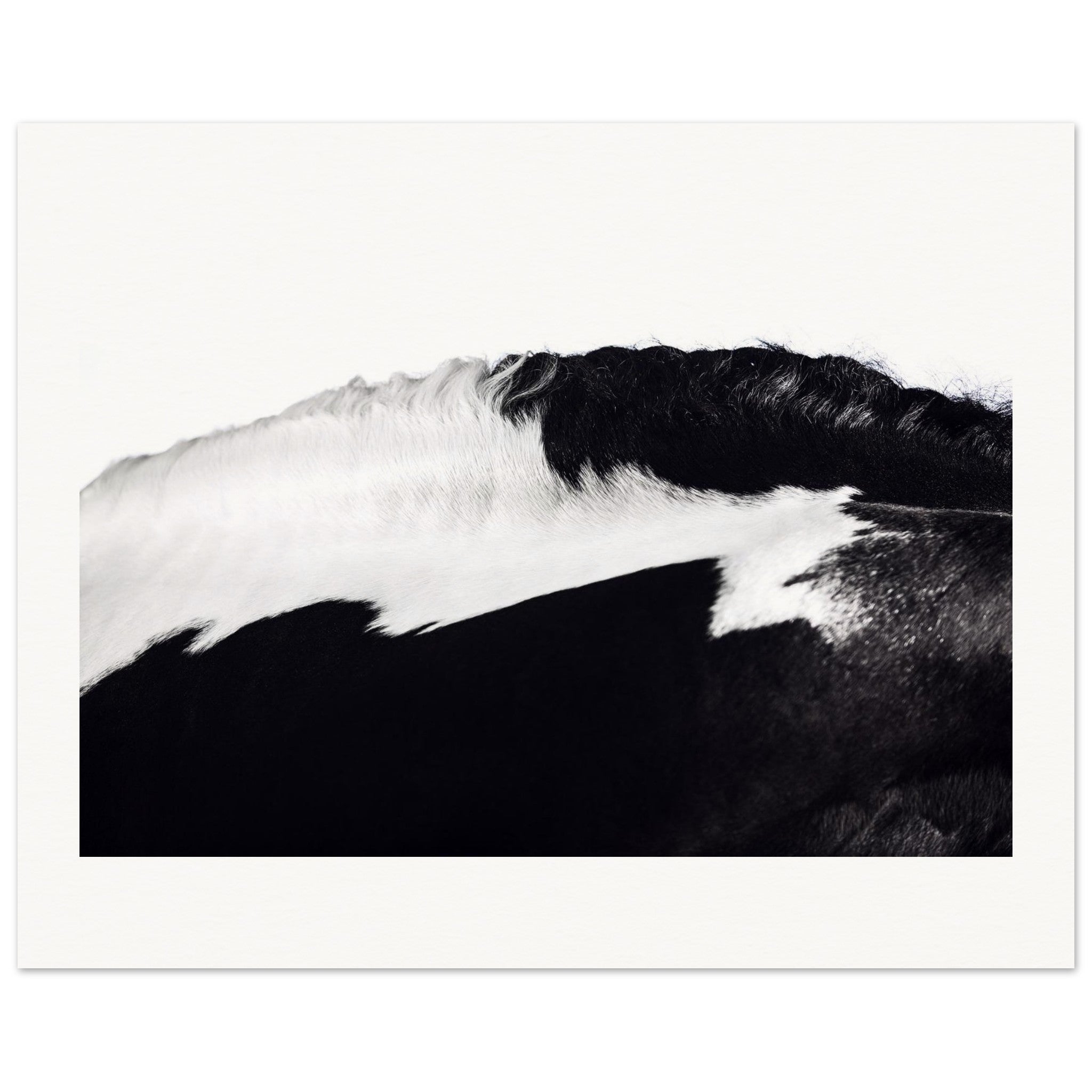 1e64b963-8d8c-4bfd-b68e-941ad4ee6095