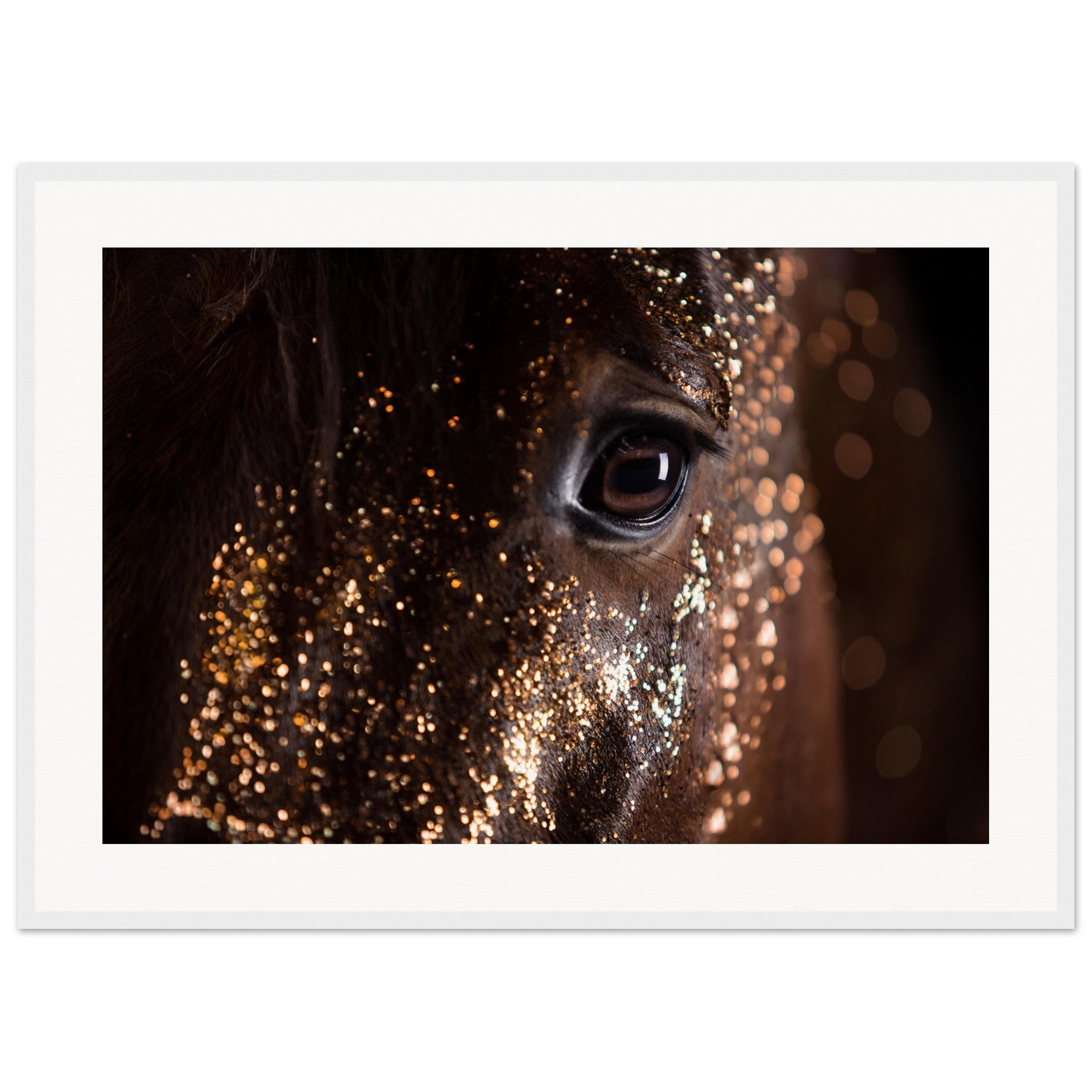 1e7c6247-bbf6-440d-9fa5-39b862489b69