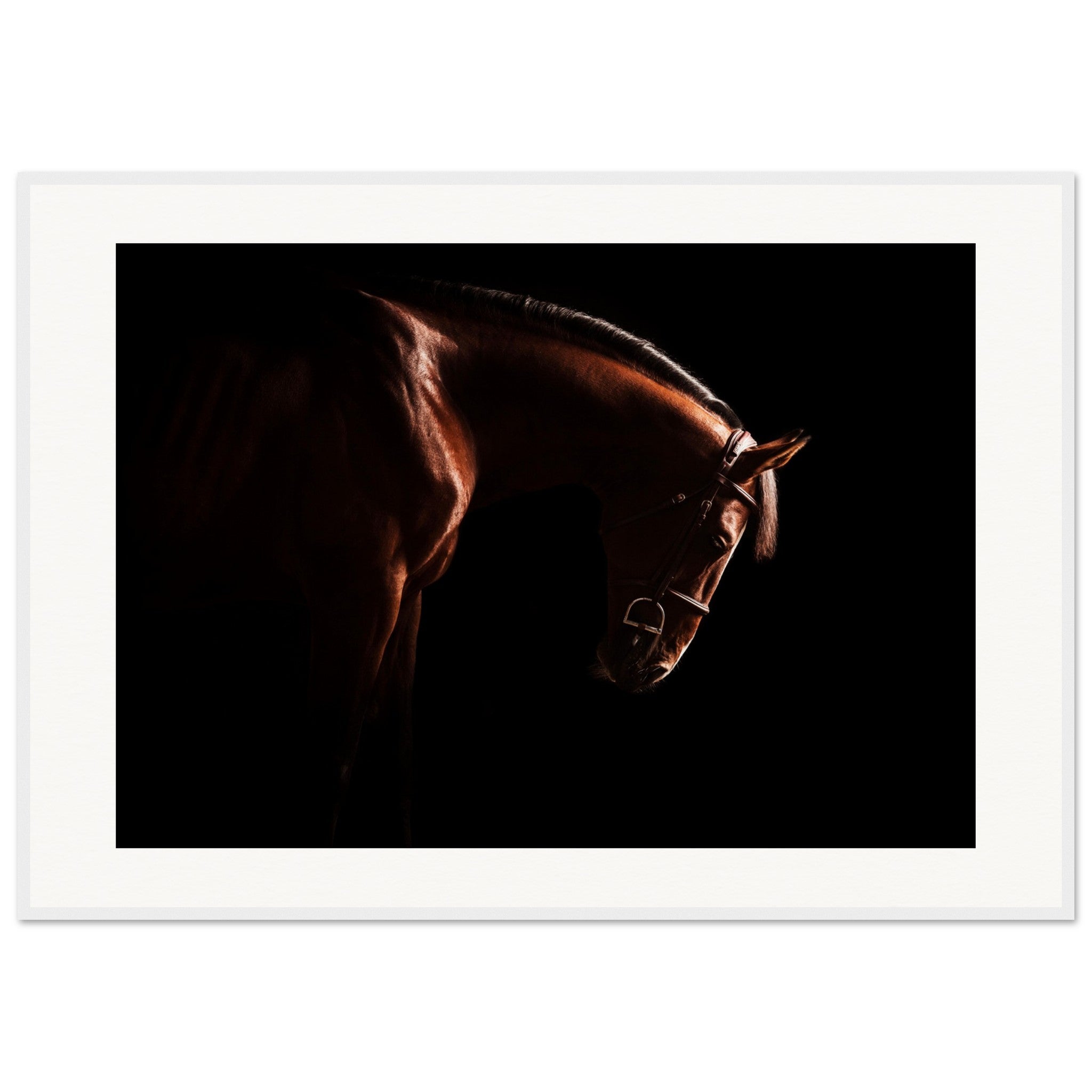 1e87edcb-f791-47ed-8ab0-9784aa21f834