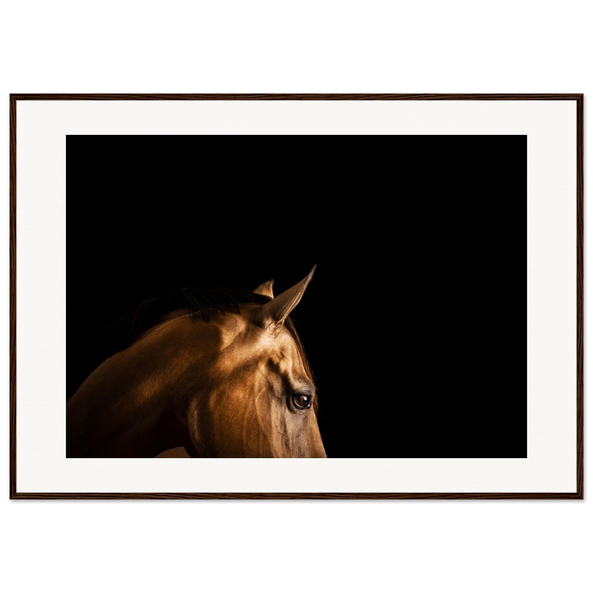 1e8d9012-e319-4dd1-9d57-4840cf81b21e