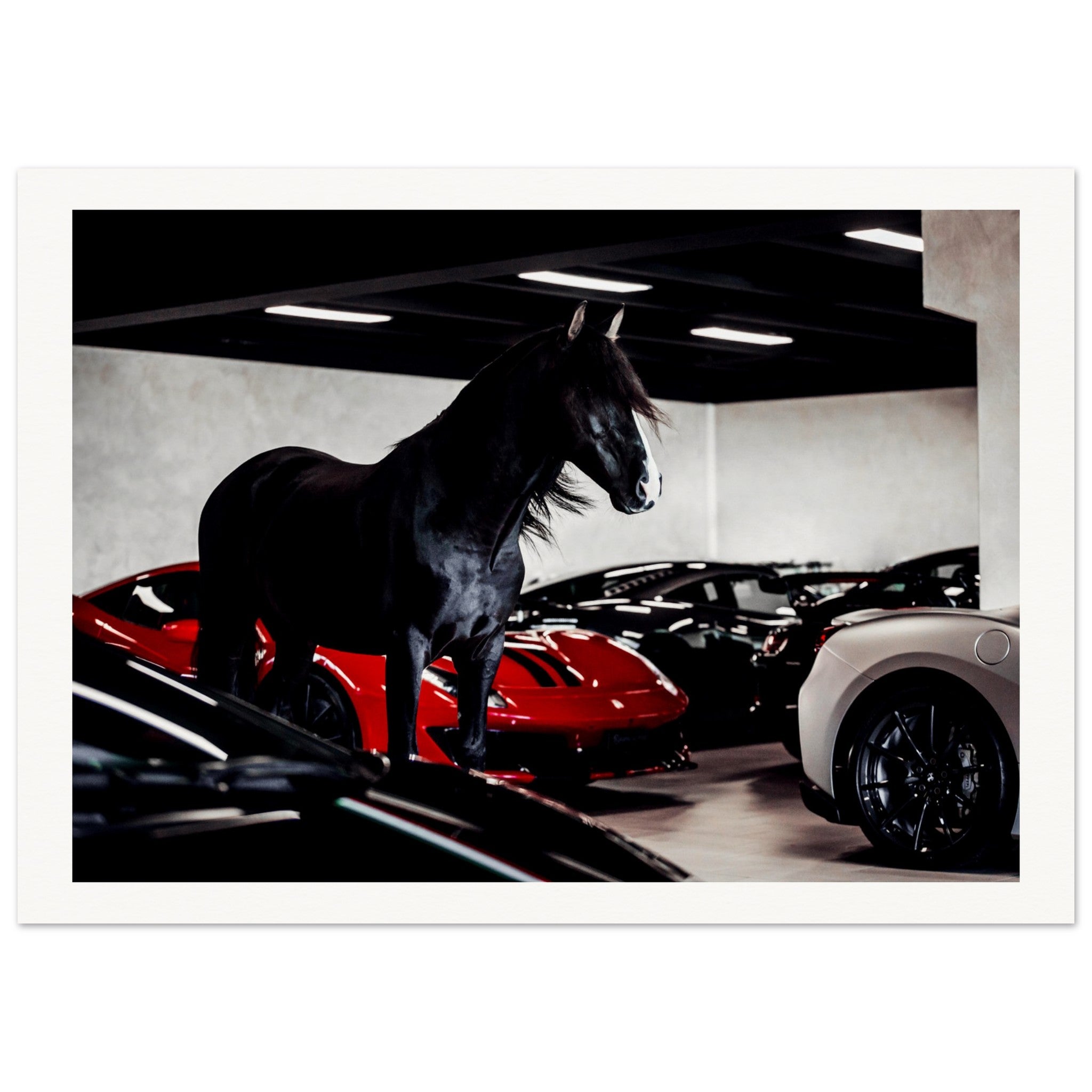 1ee21c26-0d8c-499f-ba76-ddc77caa8436